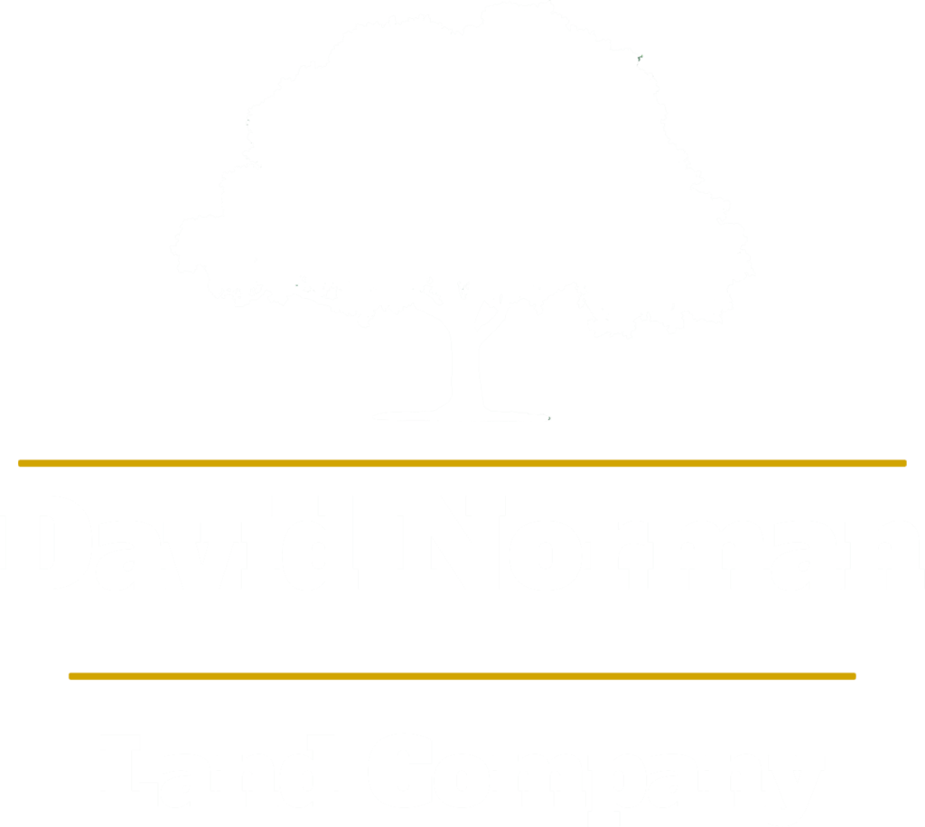 David Norman